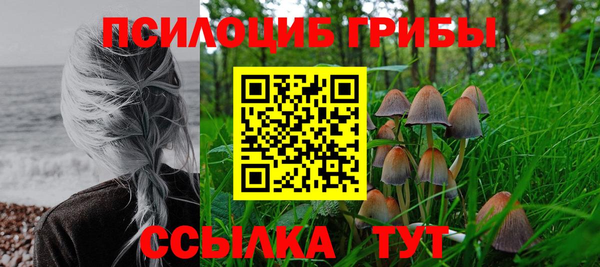 купить наркотик  Псилоцибиновые грибы MAGIC MUSHROOMS  Вход с VPN  Первоуральск 